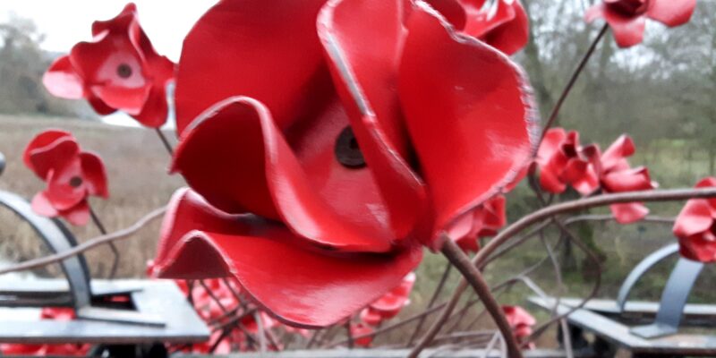 A metal red poppy sculpture silhouetted against the sky