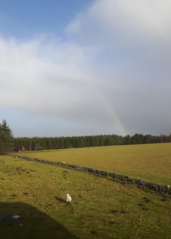 2018-01-27-Findhorn-Day-1-2-900x1260-640x480