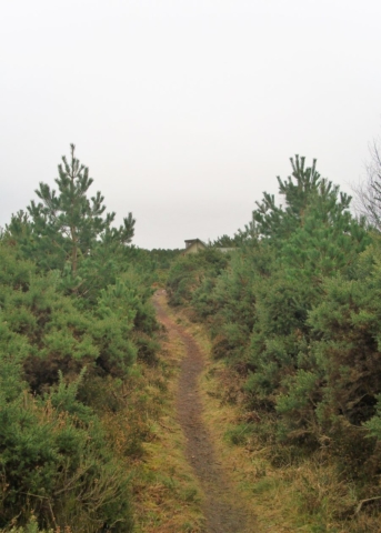 2018-01-28-Findhorn-Day-2-29-900x1260-640x480