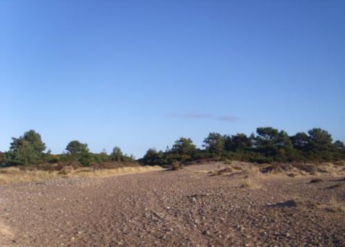 2018-01-30-Findhorn-Day-4-67-900x643-640x480