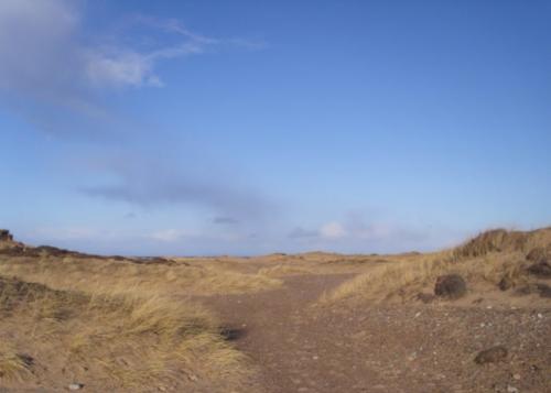 2018-01-30-Findhorn-Day-4-68-900x643-640x480
