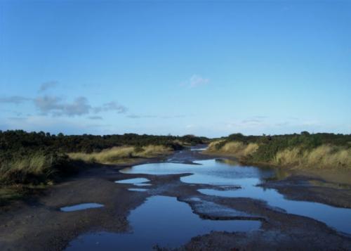 2018-01-30-Findhorn-Day-4-74-900x643-640x480