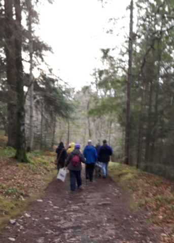2018-01-30-Findhorn-Day-4-98-900x1260-640x480