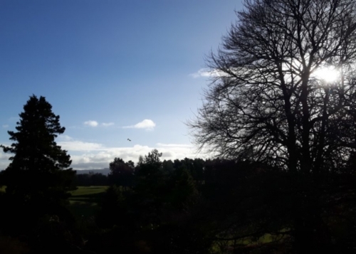 2018-02-02-Findhorn-Day-7-146-900x643-640x480